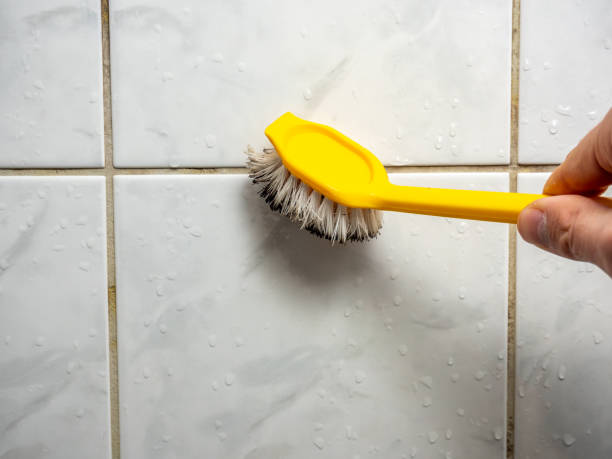Mold Removal and Inspection in Fort Myers Beach, FL