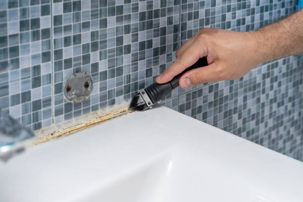 Best Mold Damage Repair  in Fort Myers Beach, FL
